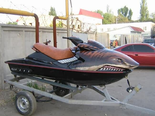 IMG 1240 1