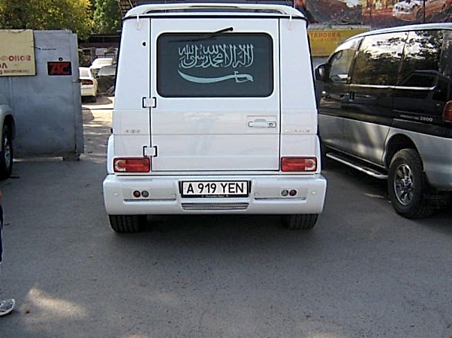 IMG 0895 2 1